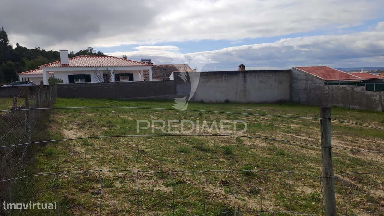 Terreno Urbano 450 m2 - Carregueira - Chamusca - Grande imagem: 2/10