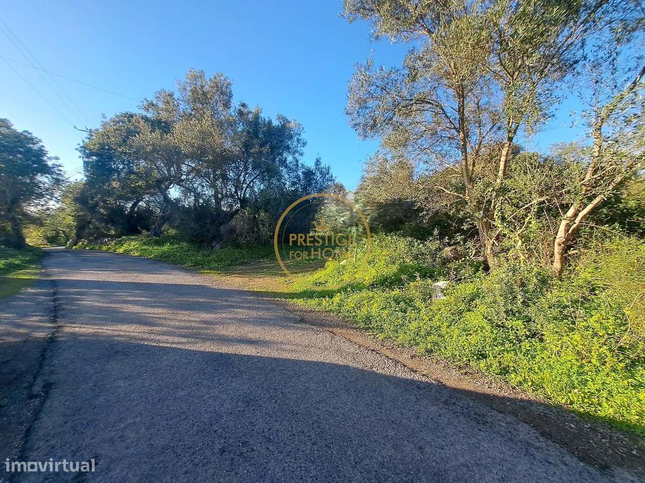 Terreno de 1.4ha com artigo urbano de 660m2 - São Brás de Alportel - Grande imagem: 4/24