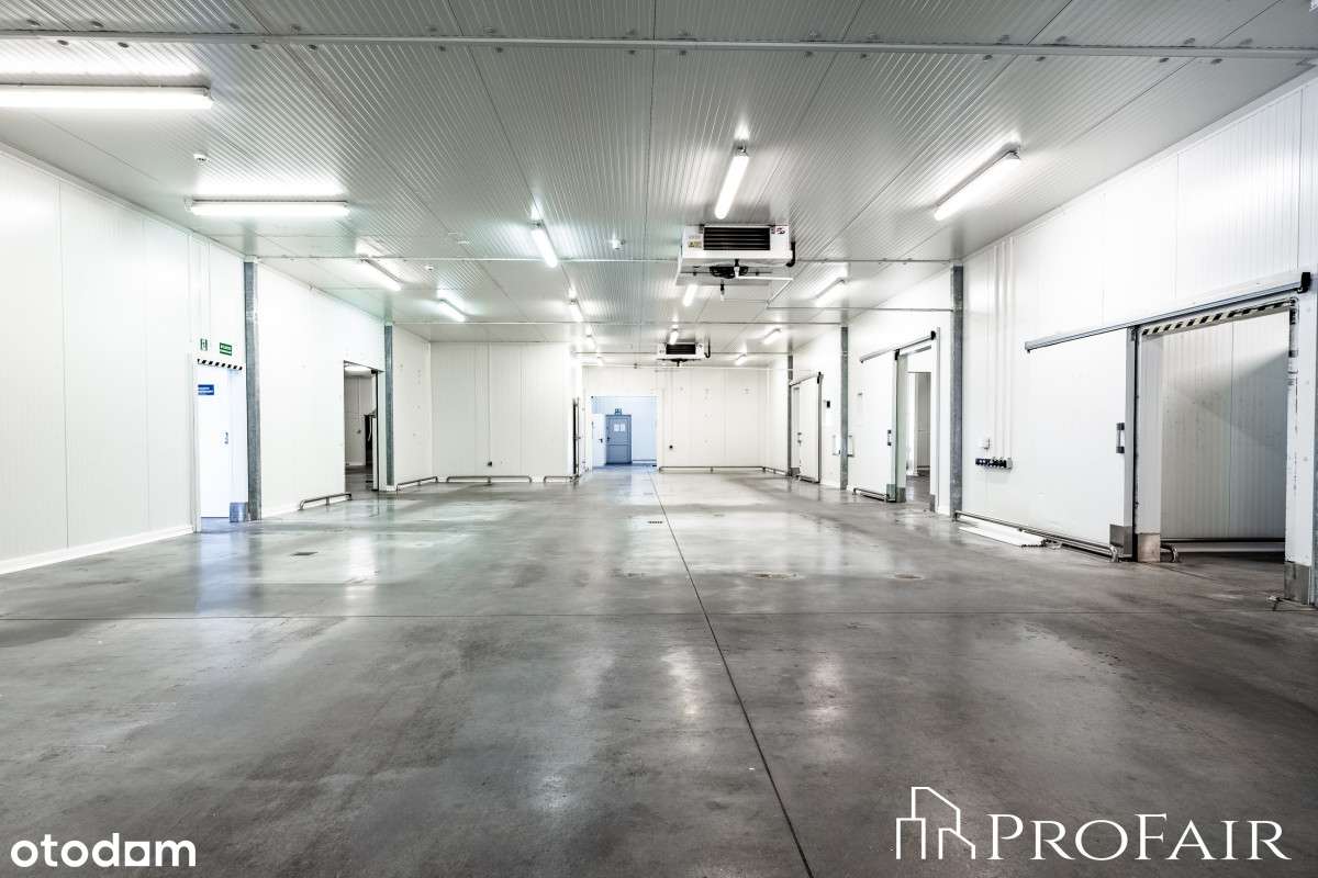 Chłodnia i mroźnia wraz z zapleczem! - Pełny obrazek: 4/7