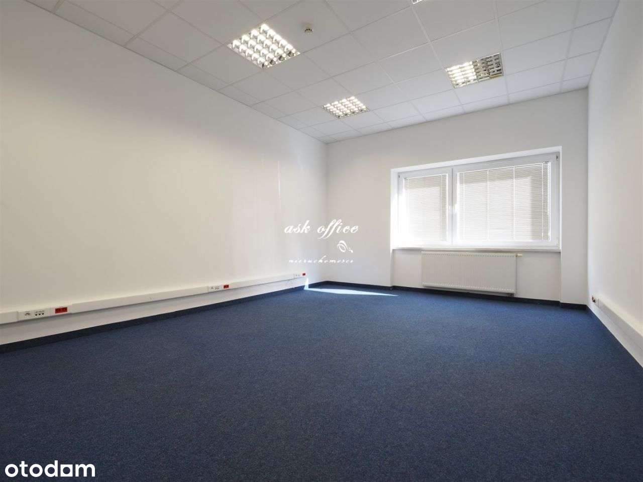 Lokal użytkowy, 94 m², Wrocław