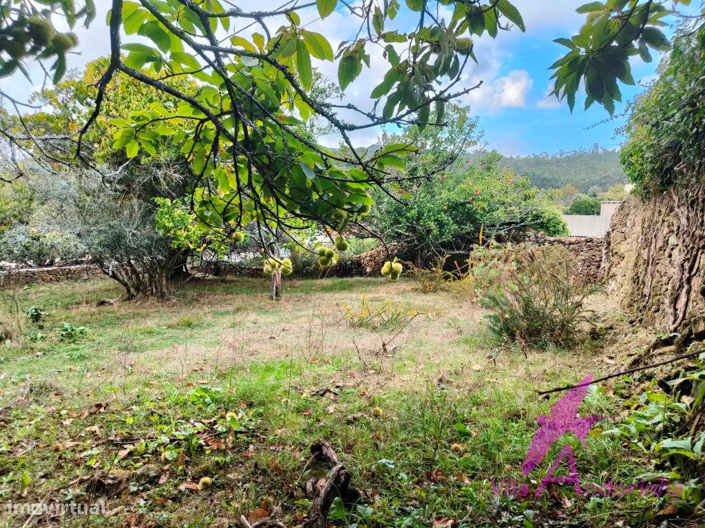 Terreno com Anexo em Pedra em Samonde - Santa Marta de Portuzelo-0