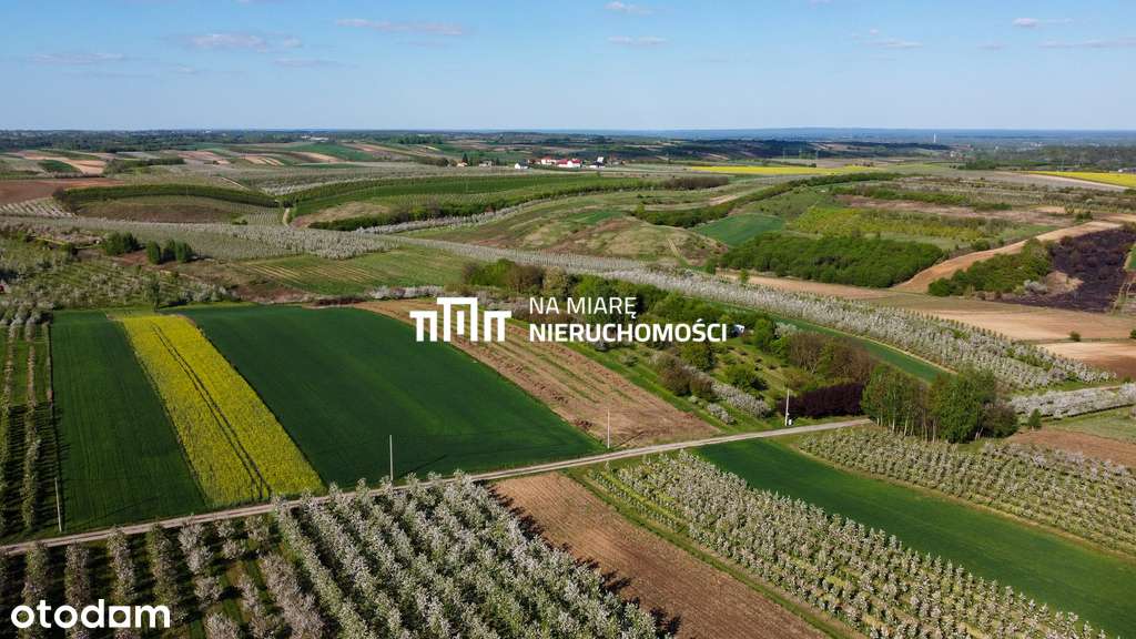 Działka rolna | Możliwość uzyskania WZ - Pełny obrazek: 4/9