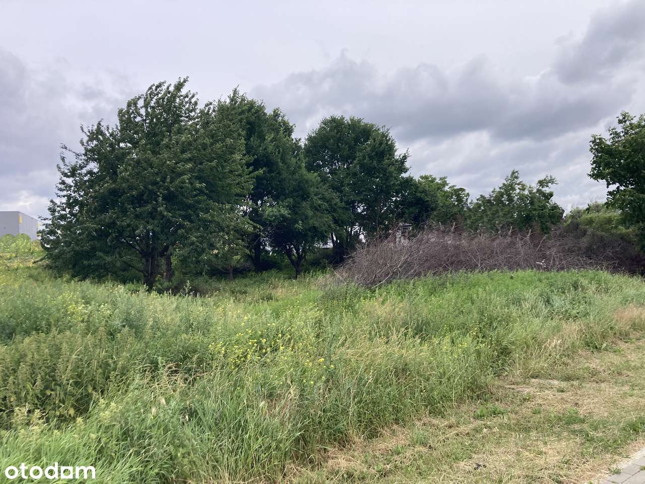 Działka 0,5 ha pod usługi - Bielany Wroclawskie-0