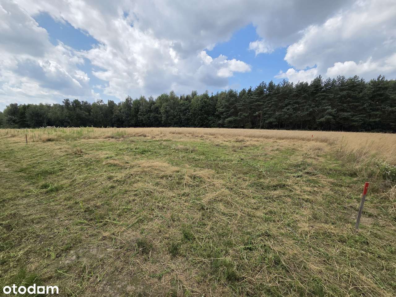 Działki Rogóźno w pobliżu jezior - Pełny obrazek: 5/9