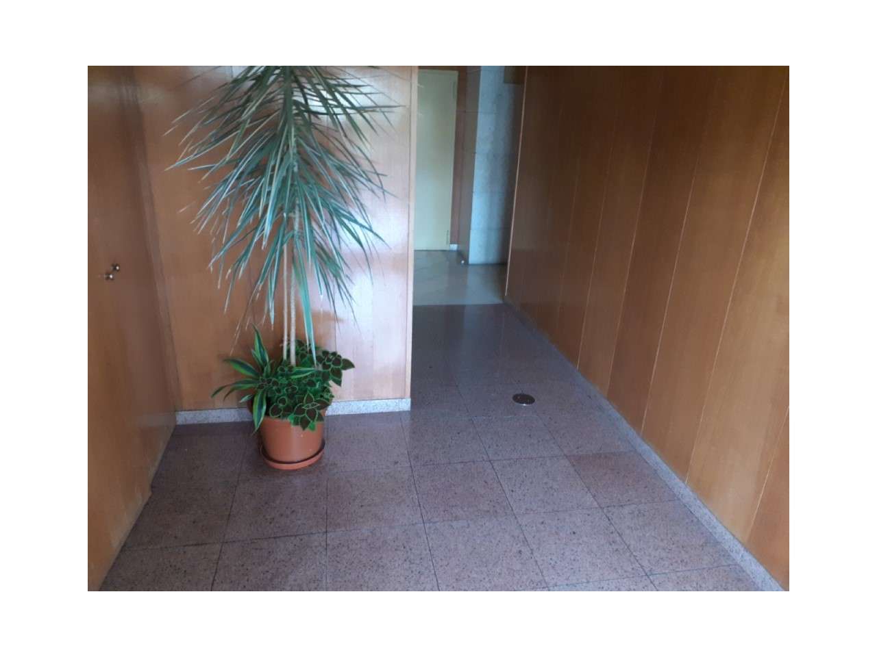 Apartamento T1 Praia na Aguda - Grande imagem: 3/18