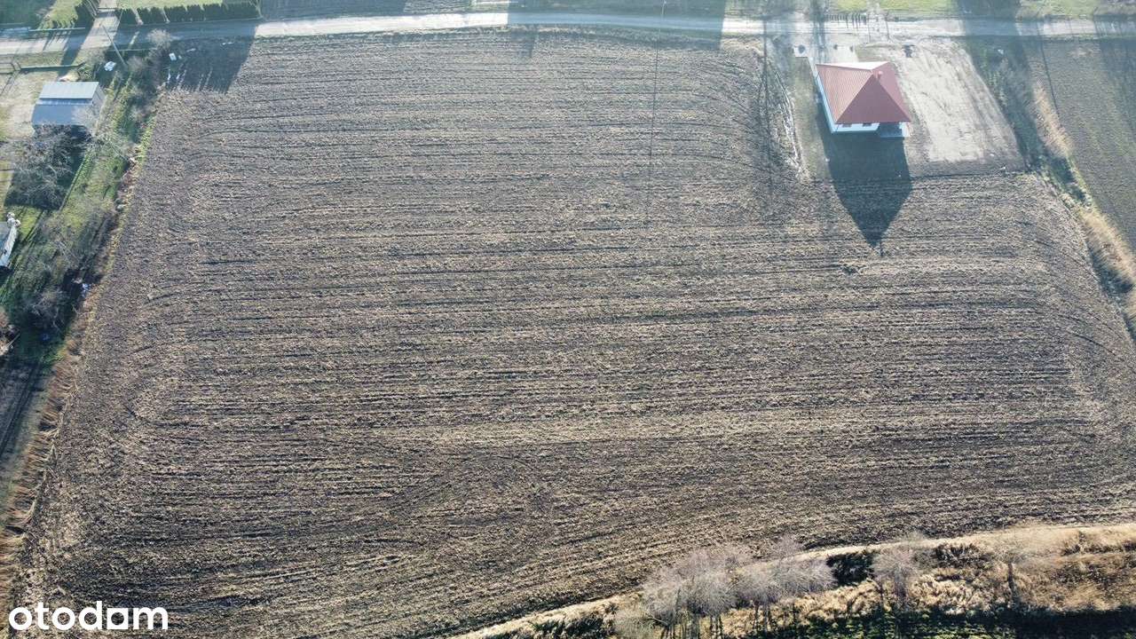 Na sprzedaż 3 działki budowlane Nowa Wieś Kącka - Pełny obrazek: 2/3