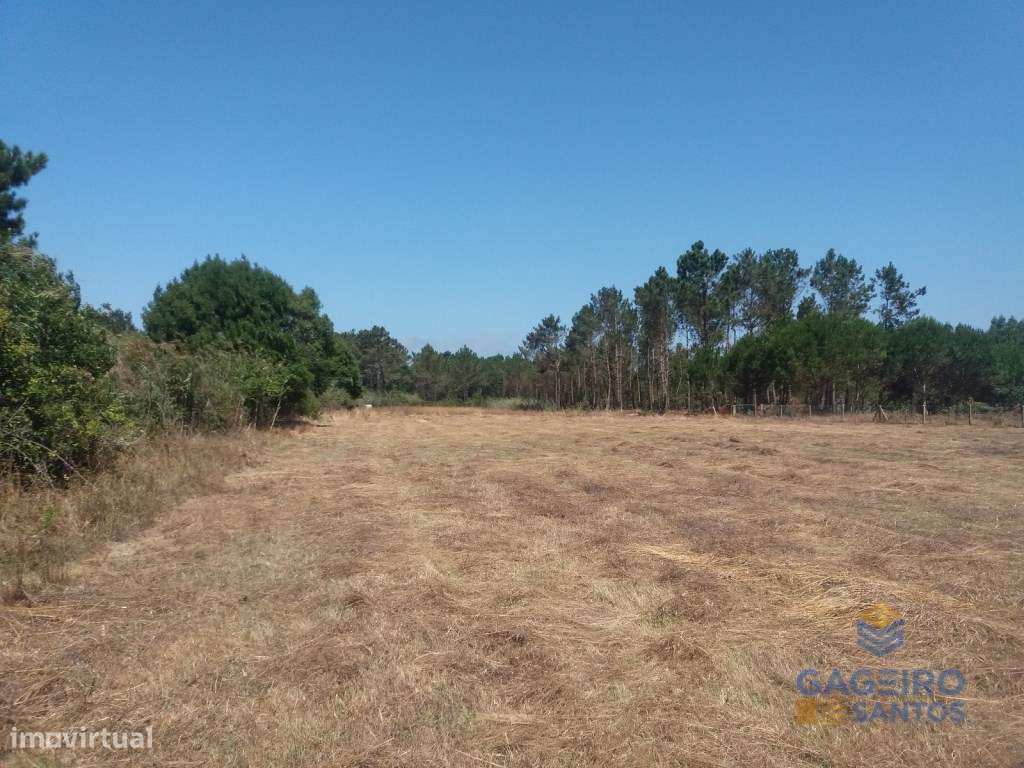 Terreno, em Tornada - Grande imagem: 4/7
