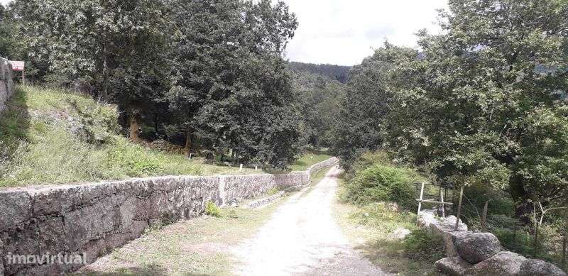 Propriedade com ca. 5 ha em Vieira do Minho - Grande imagem: 4/12