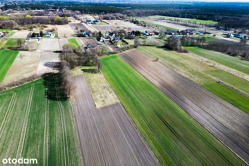 Działki w Gębarzowie - Pełny obrazek: 2/8