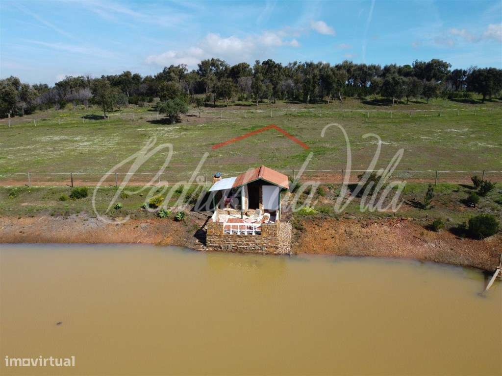 Quinta com 6,5ha em Vale Juncal - São Teotónio-41