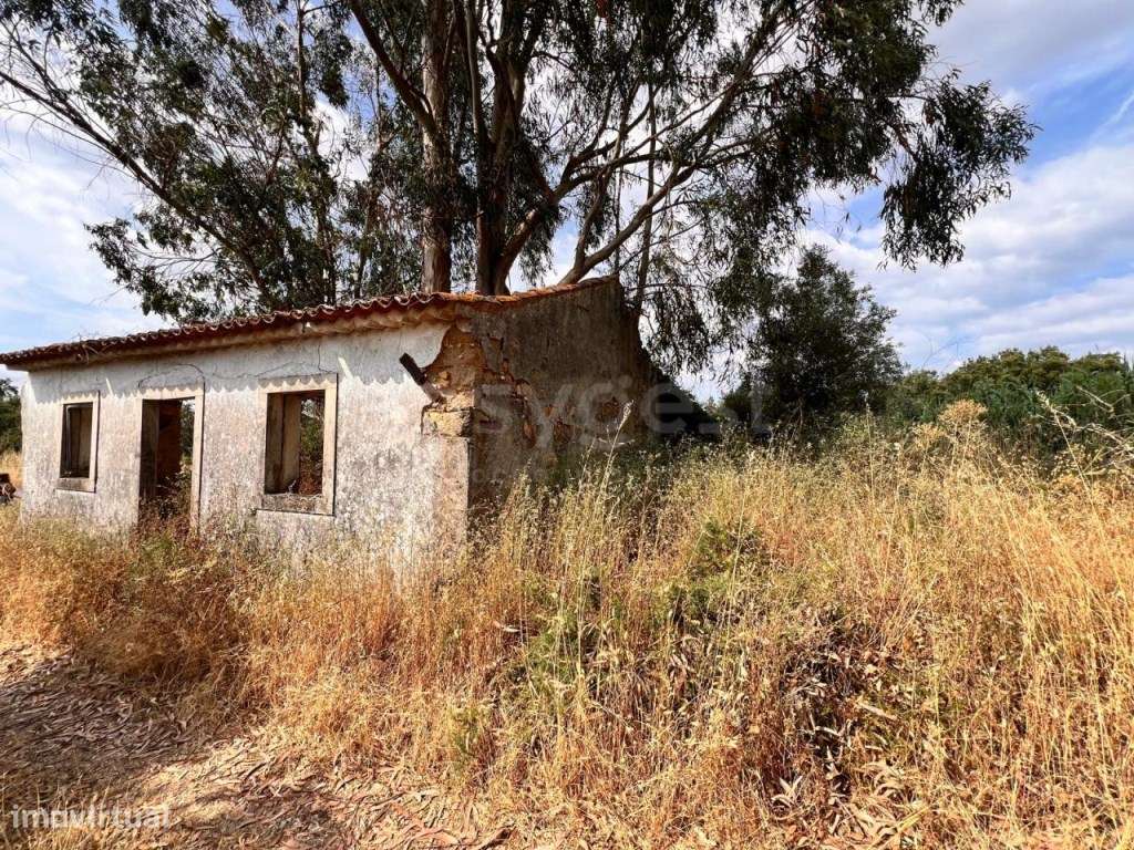 Moradia para recuperar em terreno com cerca de 1 ha em Tomar - Grande imagem: 4/27