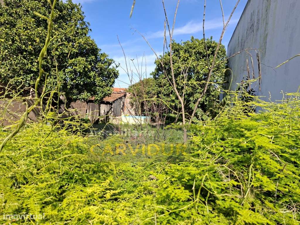 Lote 295m2 para construir moradia perto de Lisboa | Moita - Grande imagem: 4/19