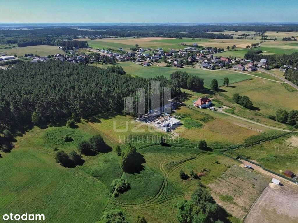 Działka w otoczeniu lasu - Pełny obrazek: 4/7