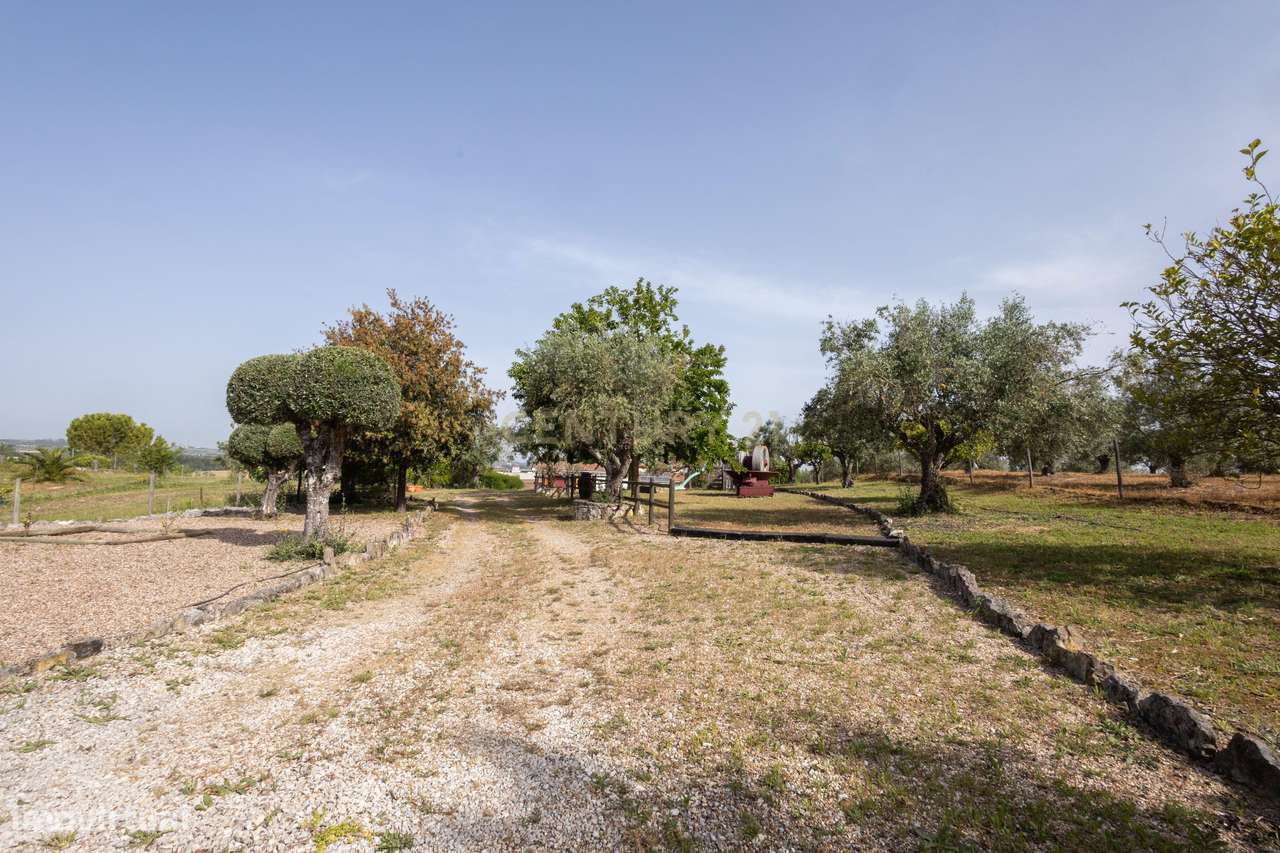 Quinta com piscina e vista sobre o Ribatejo, entre conforto e natureza-12