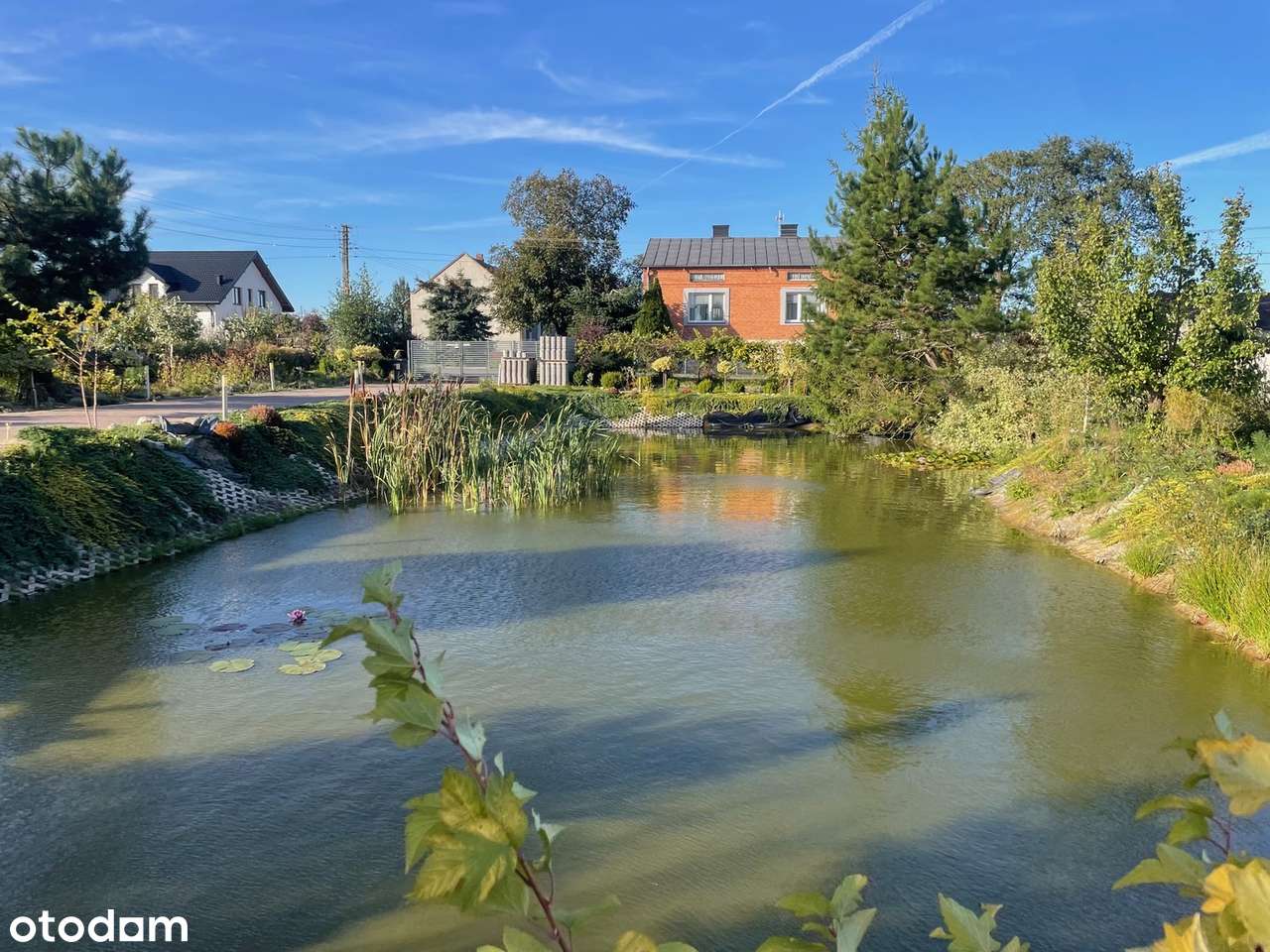 Dom z warsztatem samochodowym - Pełny obrazek: 5/17