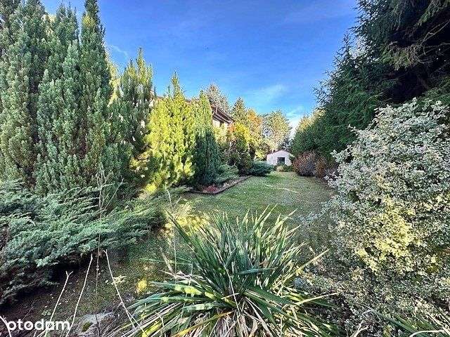 Dom w starodrzewiu pod Lublinem-2