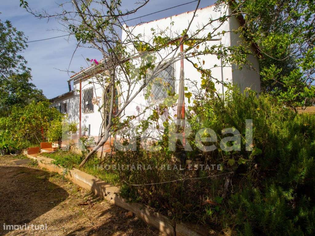 Moradia com 1. 556 hectares com furo e água da rede-8