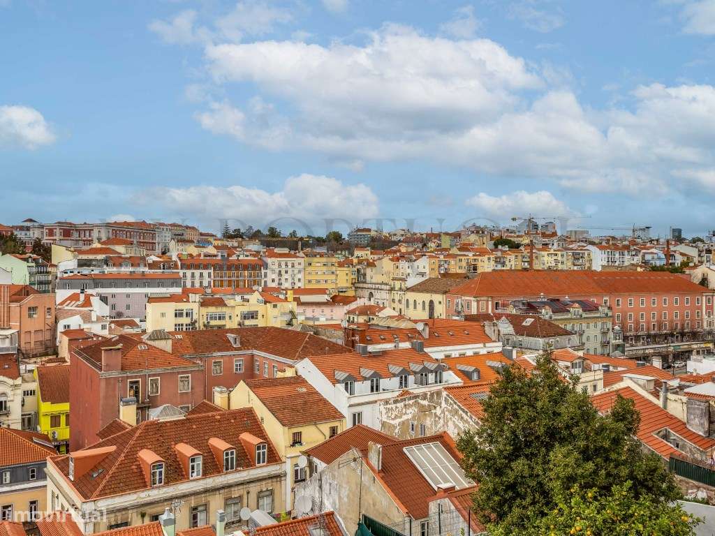 Apartamento T1 Renovado com Vista sobre Lisboa - Um Refúgio de Char... - Grande imagem: 2/20
