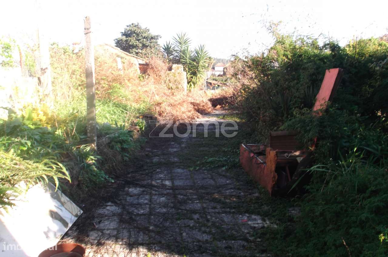 Moradia para restauro em Santiago de Riba Ul - Grande imagem: 5/24