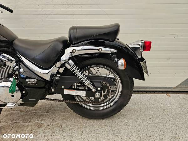 Suzuki Intruder - 8