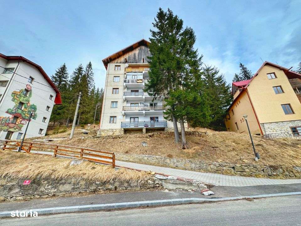 Apartament 2 camere in mijlocul naturii-Statiunea Paltinis-13