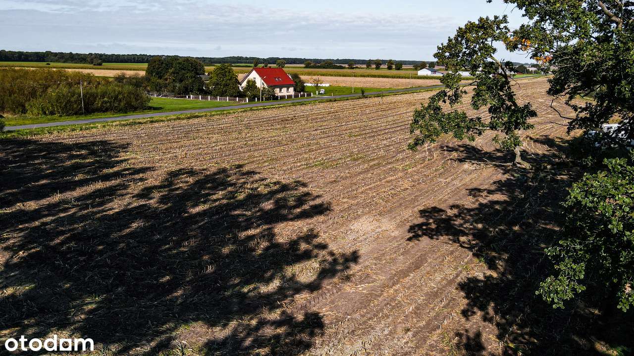 Nowy Folwark, gm. Września, pow. wrzesiński, woj. wielkopolskie-10