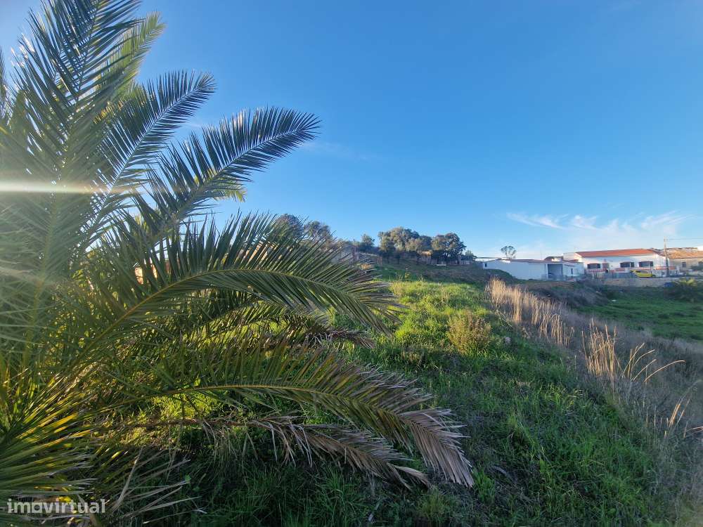 Terreno Rústico - Vale Figueira, Messines-11