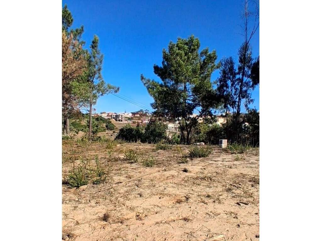 Mafra - Ericeira - Terreno para moradia com vista sobre o vale - Grande imagem: 5/9