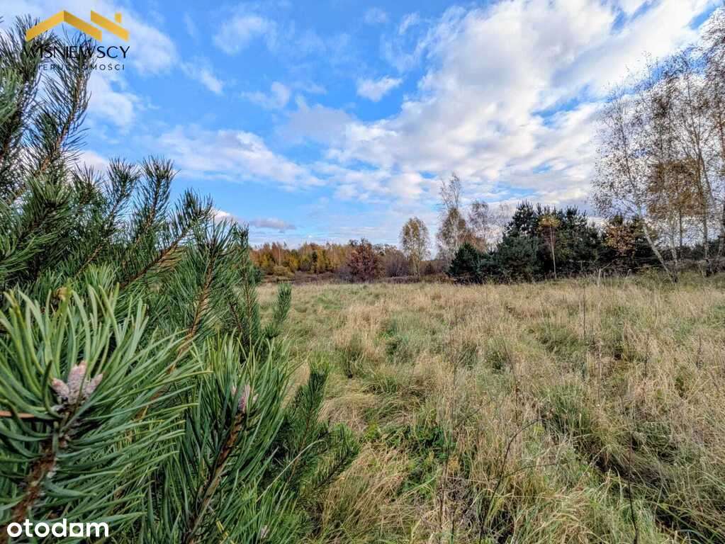 Na sprzedaż działki bud., Sztumskie Pole, 1146m2 - Pełny obrazek: 5/9