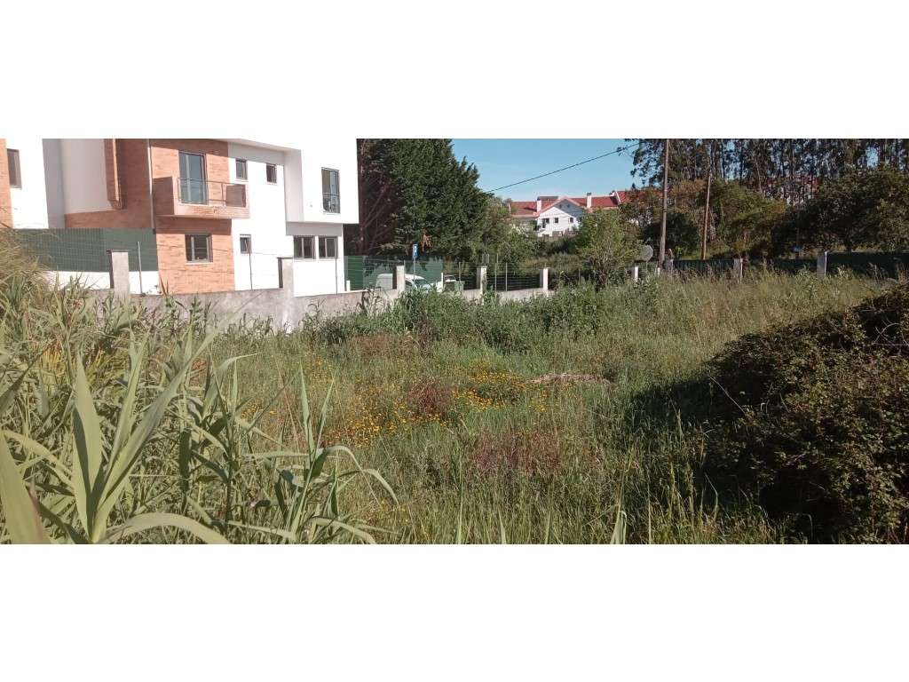 Terreno para Venda na Ajuda, Lisboa - Grande imagem: 4/26