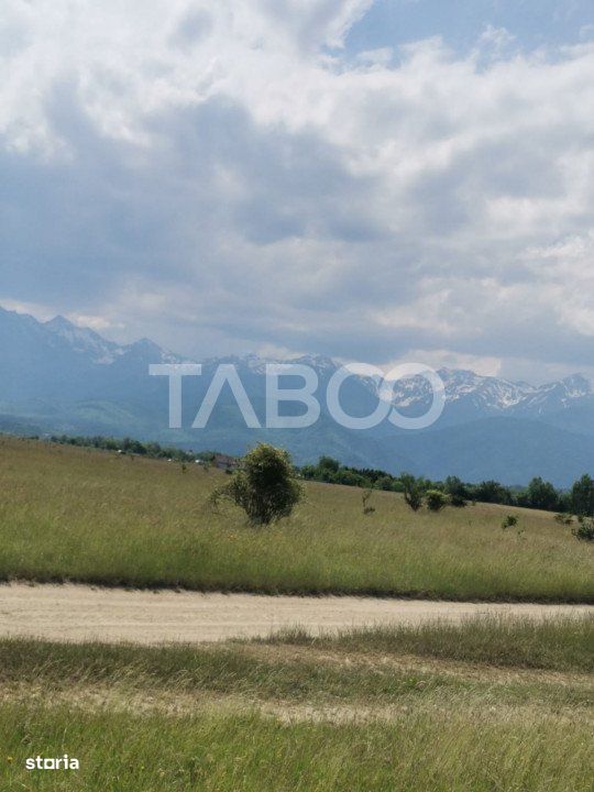 Teren de vanzare extravilan 10000 mp 20 euro/mp Valea Avrigului Sibiu