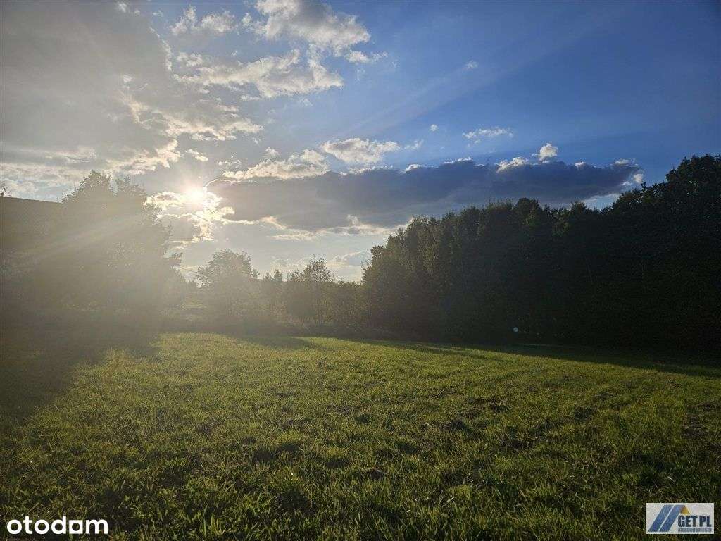 Działka, 3 300 m², Krzyszkowice - Pełny obrazek: 4/8