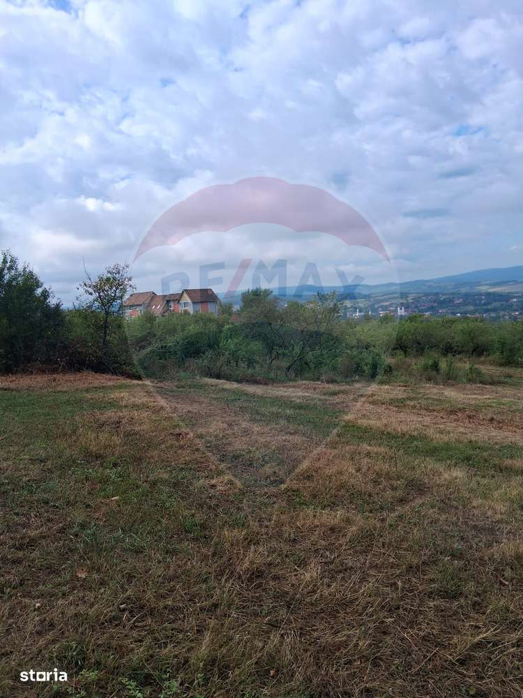 Teren 5,700mp Somcuta Mare / investitie cu potential major-7