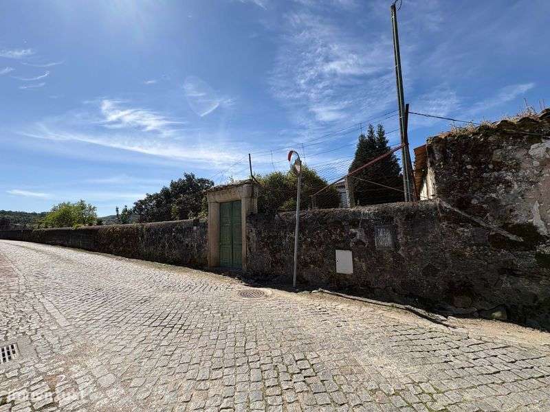 Quinta 67.000 m² | Braga (10 min do centro) | EN205 - Grande imagem: 4/12