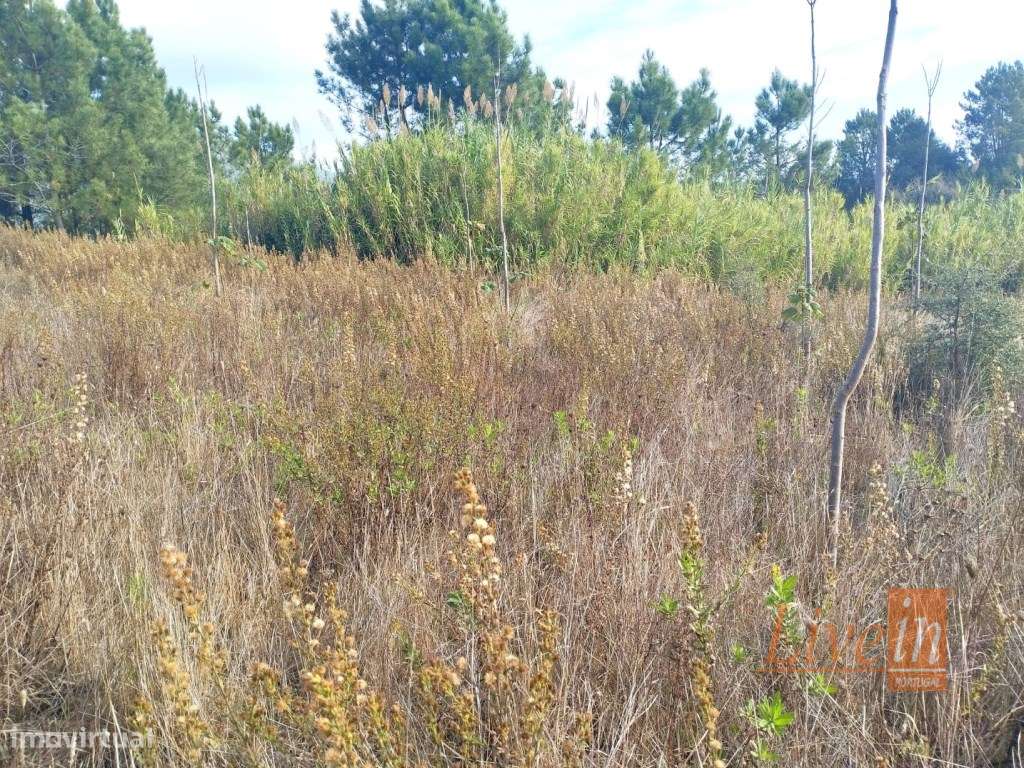 Terreno em Cabanas do Chão com 50280 m² - Grande imagem: 5/6