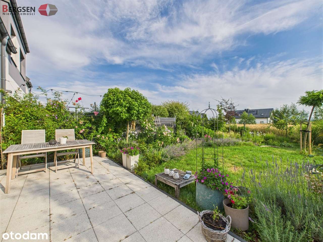 Nowiczesny, cisza, zieleń, las, jeziora, sarny-17