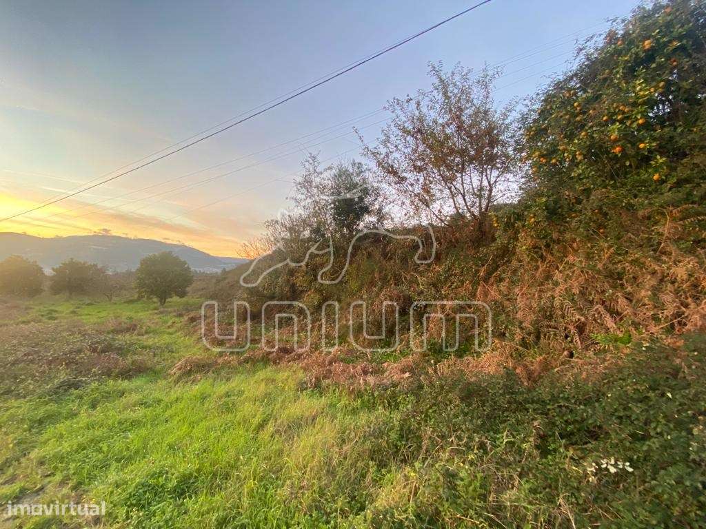 Terreno em Ponte de Lima - Grande imagem: 3/16