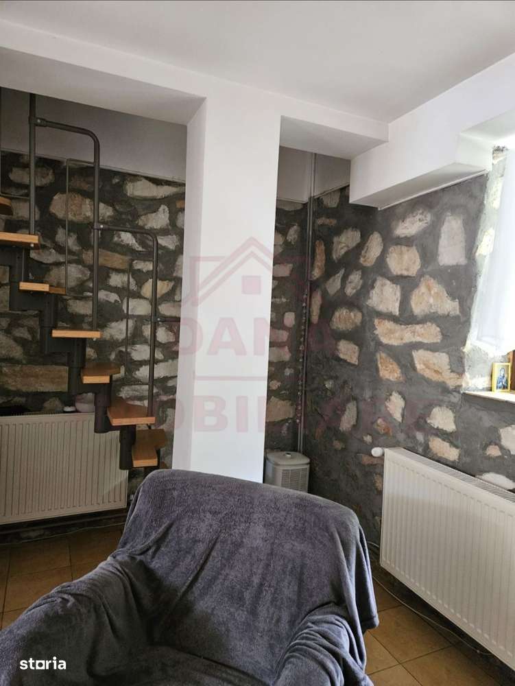 CASĂ DE VÂNZARE ÎN POUANA MĂRULUI,JUD. CARAȘ-SEVERIN-3