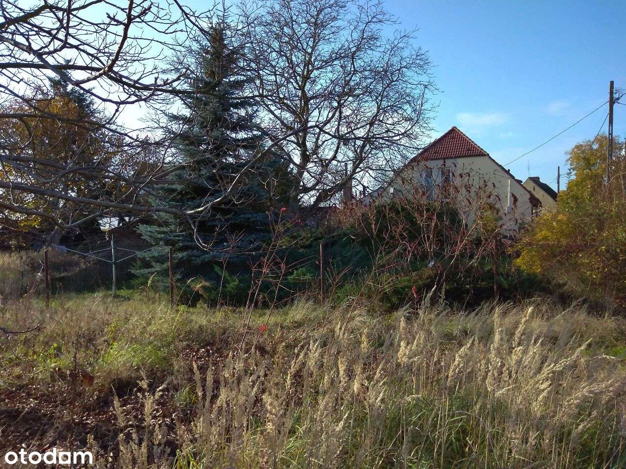 Działka z potencjałem – 2201 m² – Boleszkowice-4