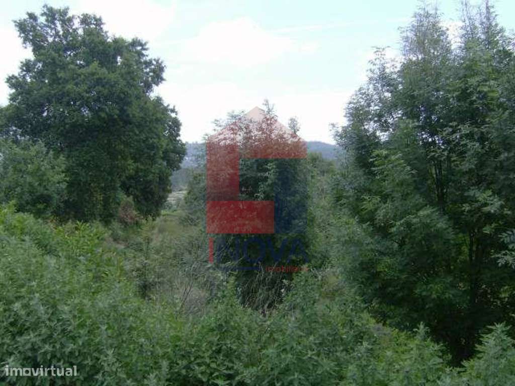 Terreno agrícola, Coucieiro - Grande imagem: 4/5