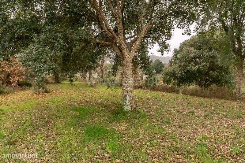 Terreno / Fundão, Aldeia de Joanes - Grande imagem: 3/7