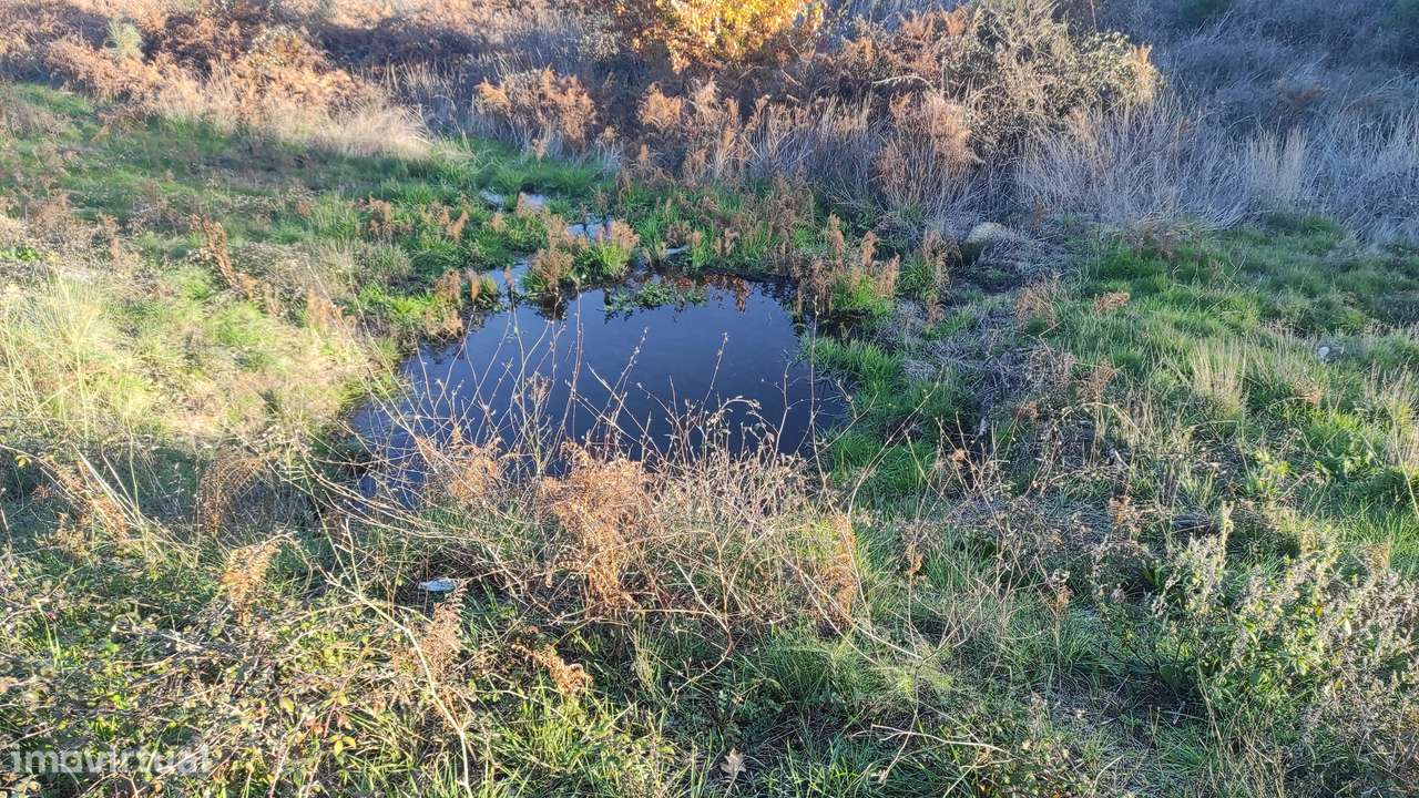 Quinta com vista deslumbrante para a Serra da Estrela 17500€-17
