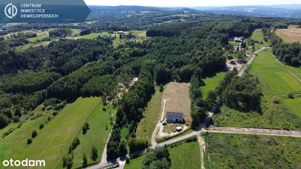 12/24 ary pod lasem z warunkami zabudowy - Pełny obrazek: 5/7