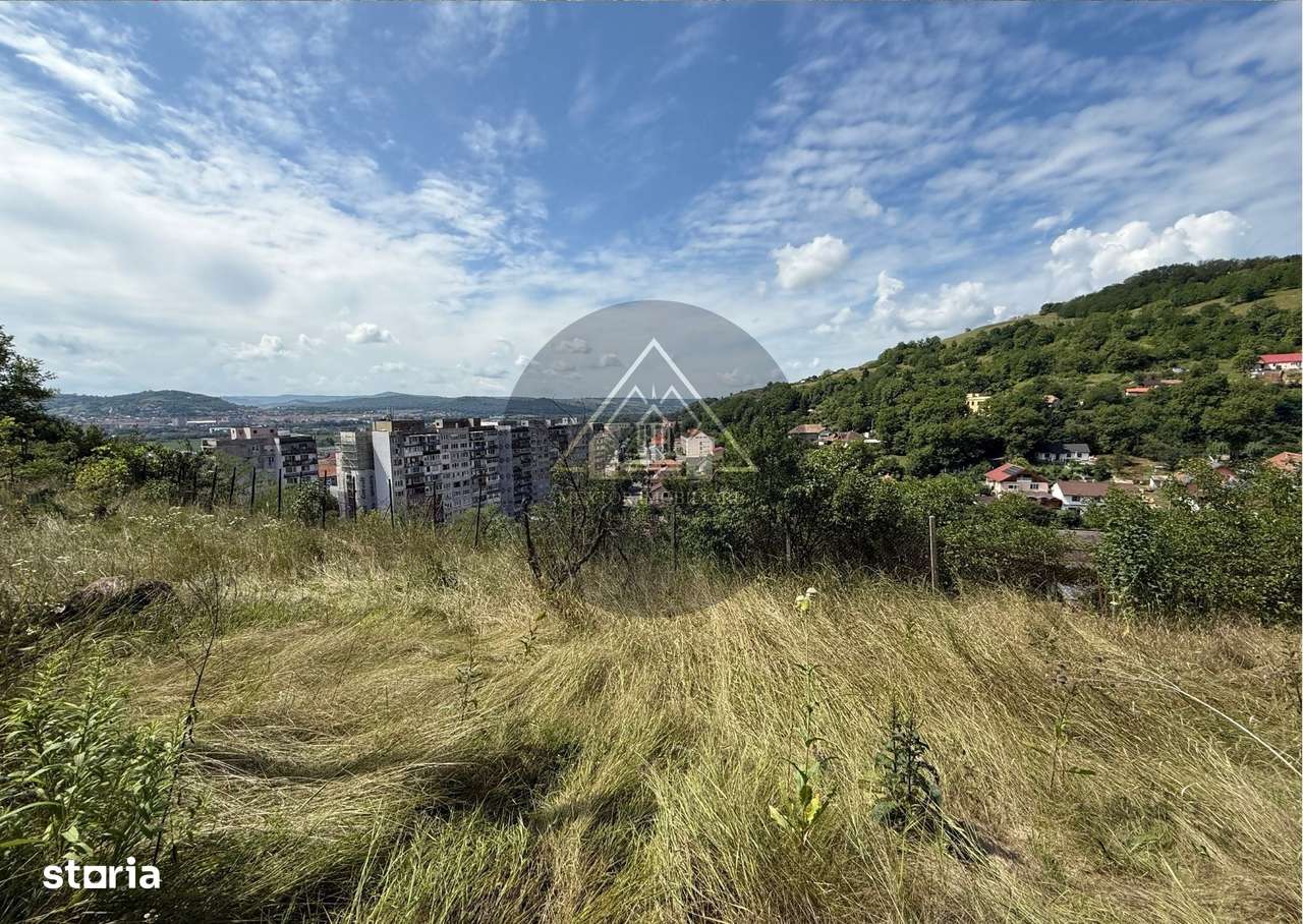 Teren Wewern, Medias - Imagine principală: 2/6