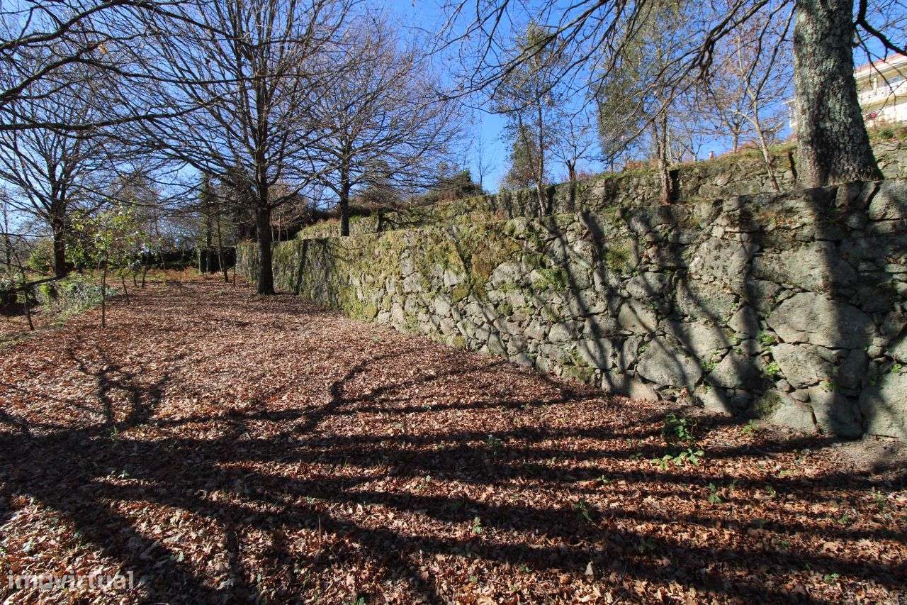 Quinta – São Pedro do Sul - Grande imagem: 4/38