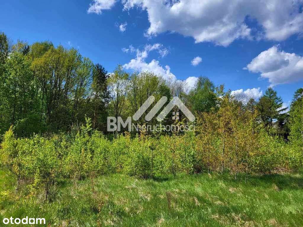 Owczarnia, Wkd 1,5 km-1