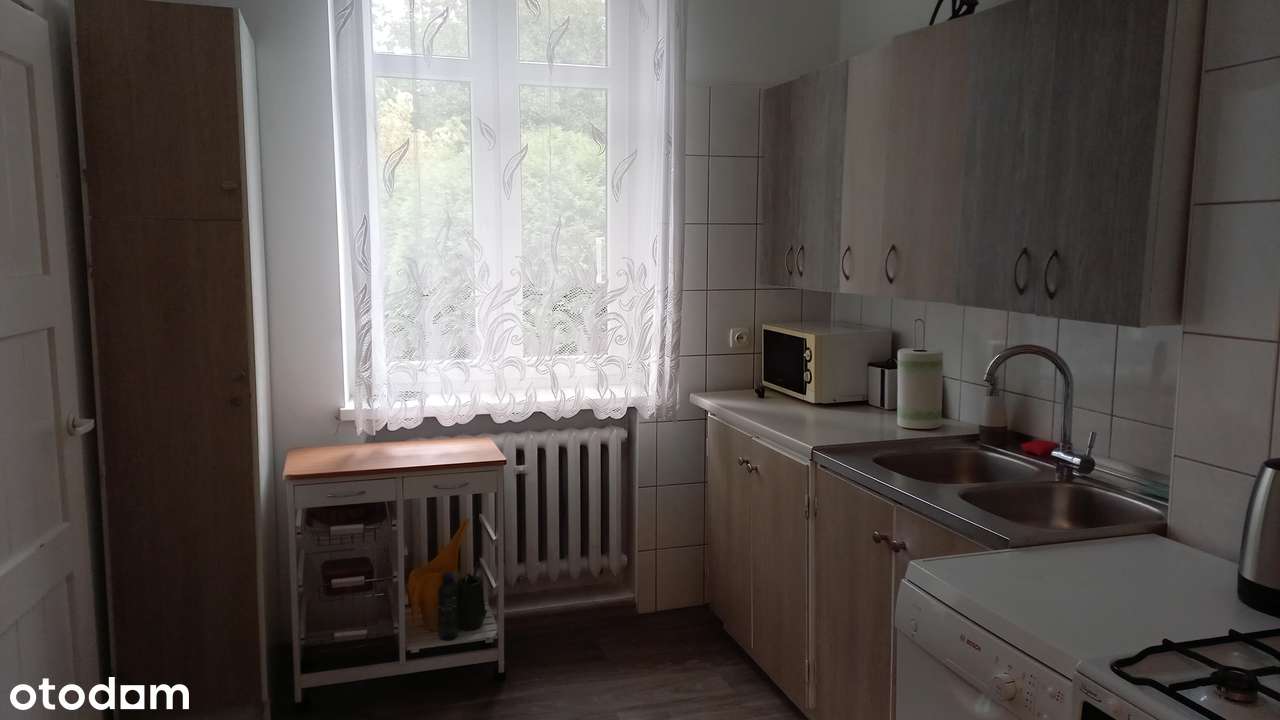 Dom z dużym ogrodem - Pełny obrazek: 4/14