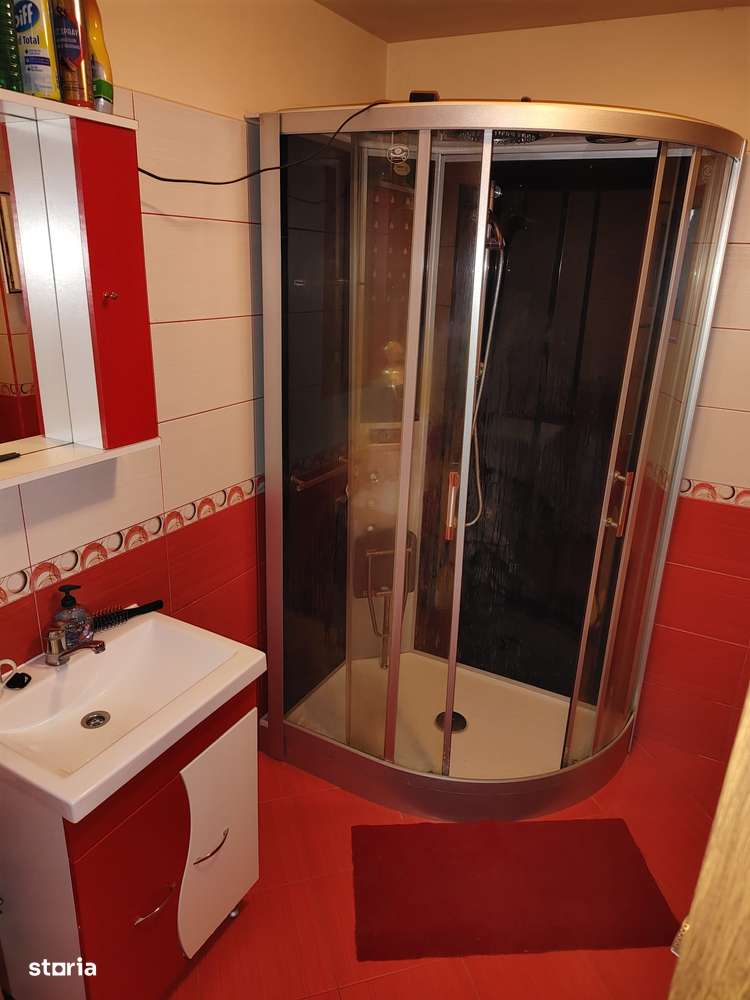 De vanzare Casa cu 3 camere si 2 parcele de teren comasate in Crai Nou-11