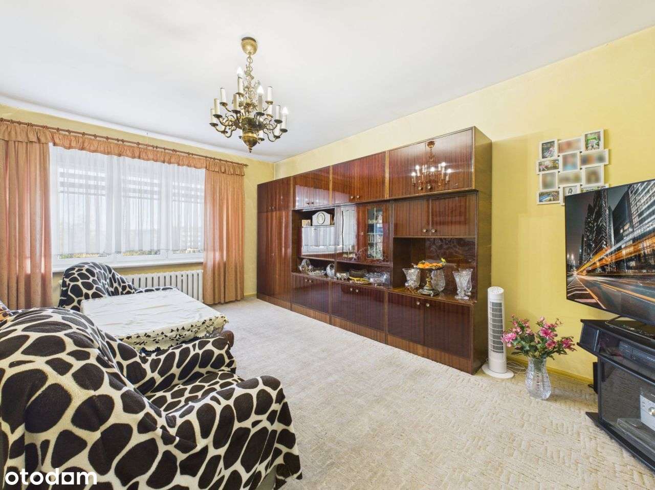 Chorzów, ul. Wolności - budynek na dużej działce-19