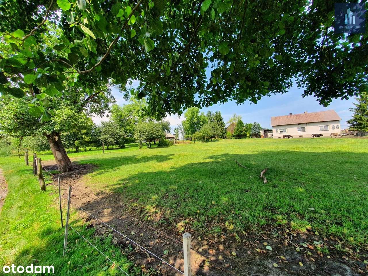 Tontti, 1150 m²